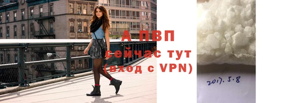 a pvp Новозыбков