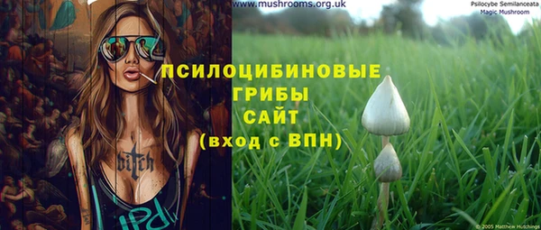 винт Инта