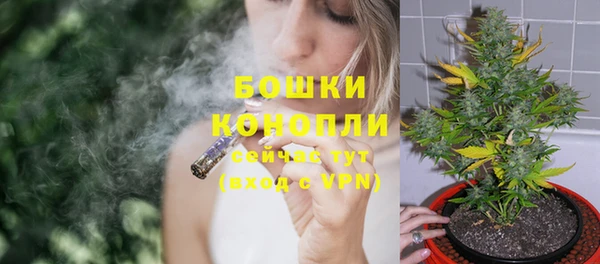 a pvp Новозыбков