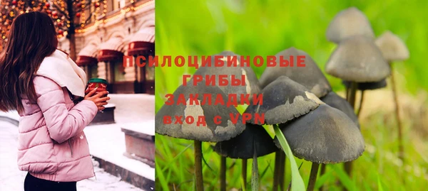 a pvp Новозыбков
