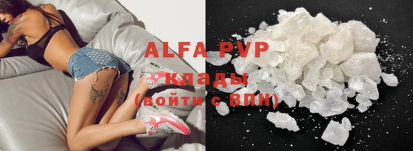 a pvp Новозыбков