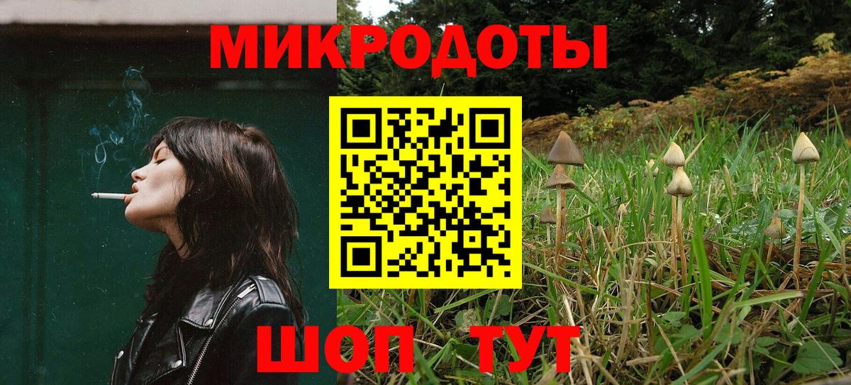 Псилоцибиновые грибы Psilocybine cubensis  Вход с VPN  Переславль-Залесский 