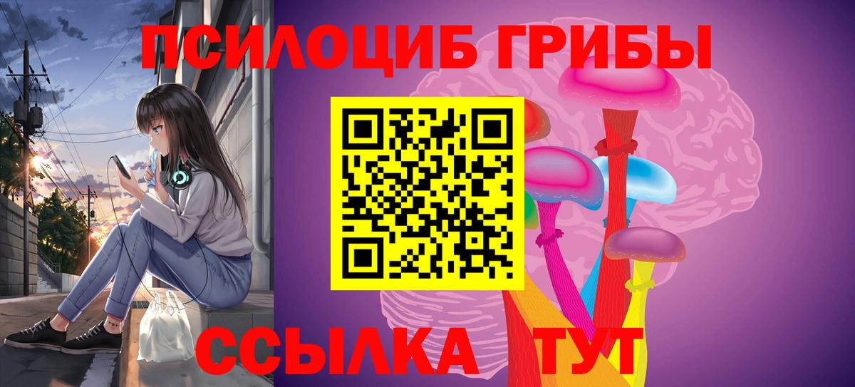 Псилоцибиновые грибы GOLDEN TEACHER Переславль-Залесский